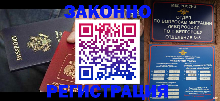 прописка законно в Могочи